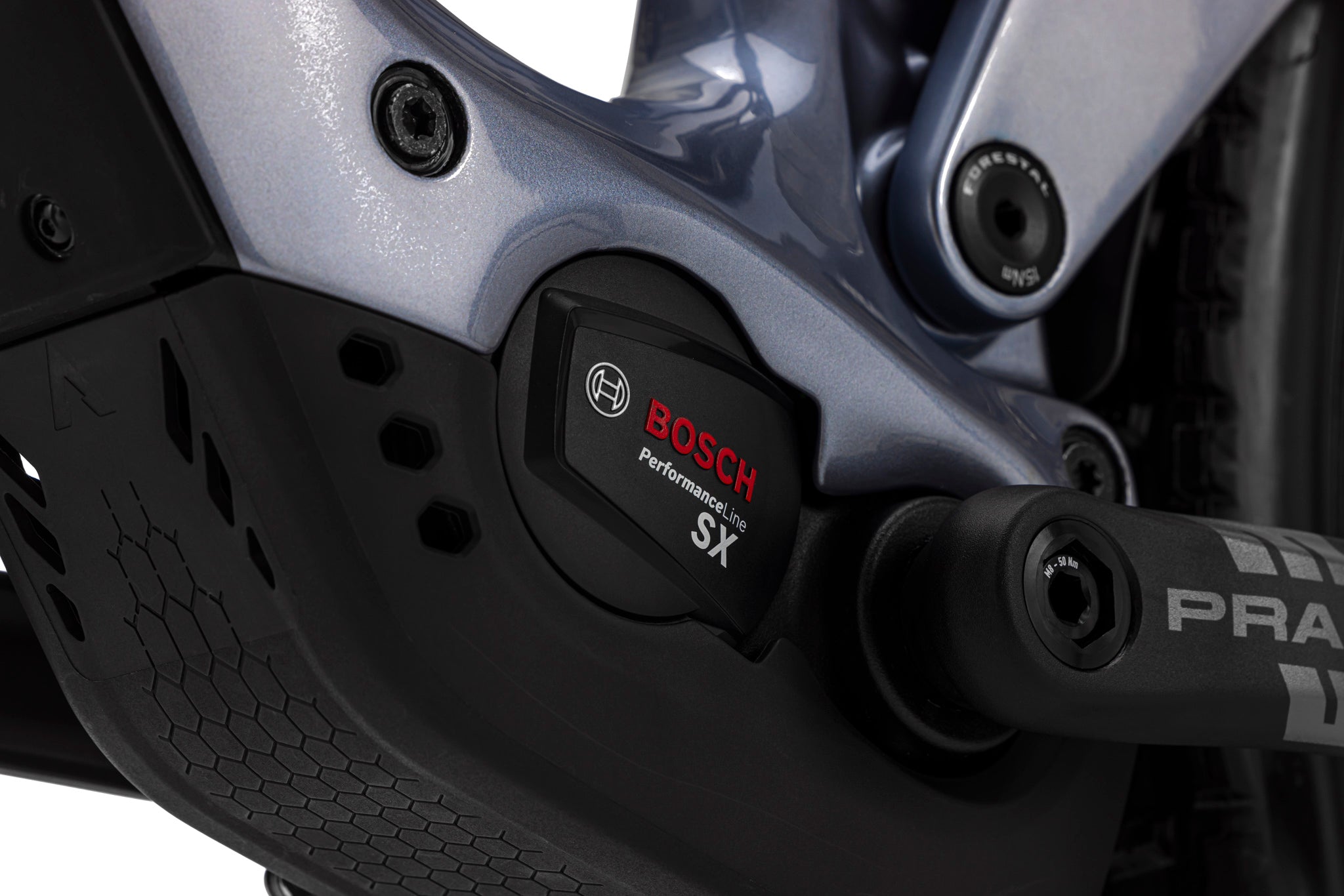 Forestal e‑Cygnus Bosch SX Halo boutique-mtb