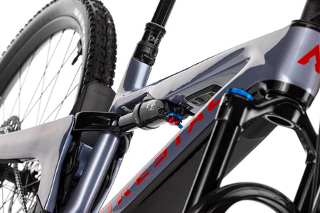 Forestal e‑Cygnus Bosch SX Halo boutique-mtb