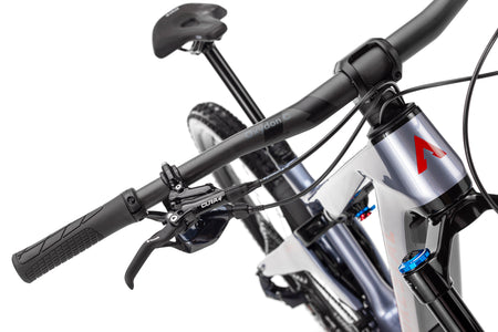 Forestal e‑Cygnus Bosch SX Halo boutique-mtb