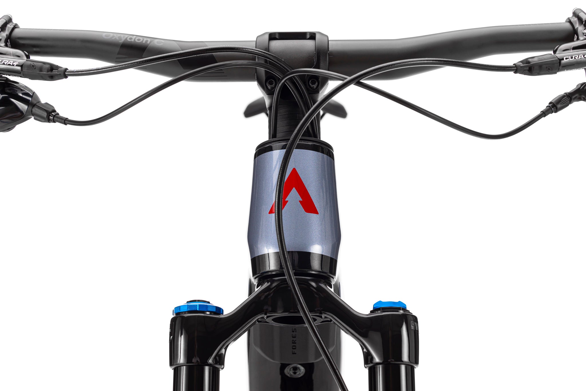 Forestal e‑Cygnus Bosch SX Halo boutique-mtb