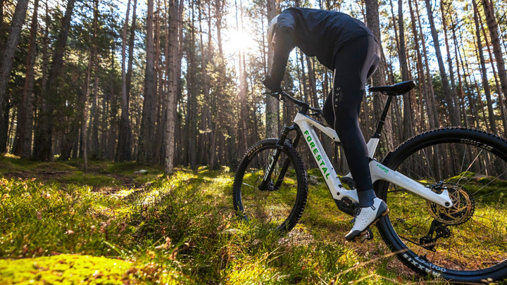Forestal e‑Cygnus Bosch SX boutique-mtb