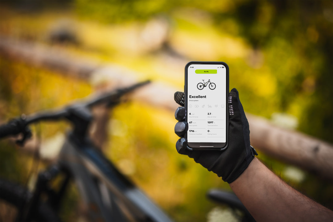 Forestal e‑Cygnus Bosch SX boutique-mtb