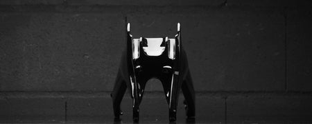 Forestal e-Siryon v2 Avinox M Halō boutique-mtb