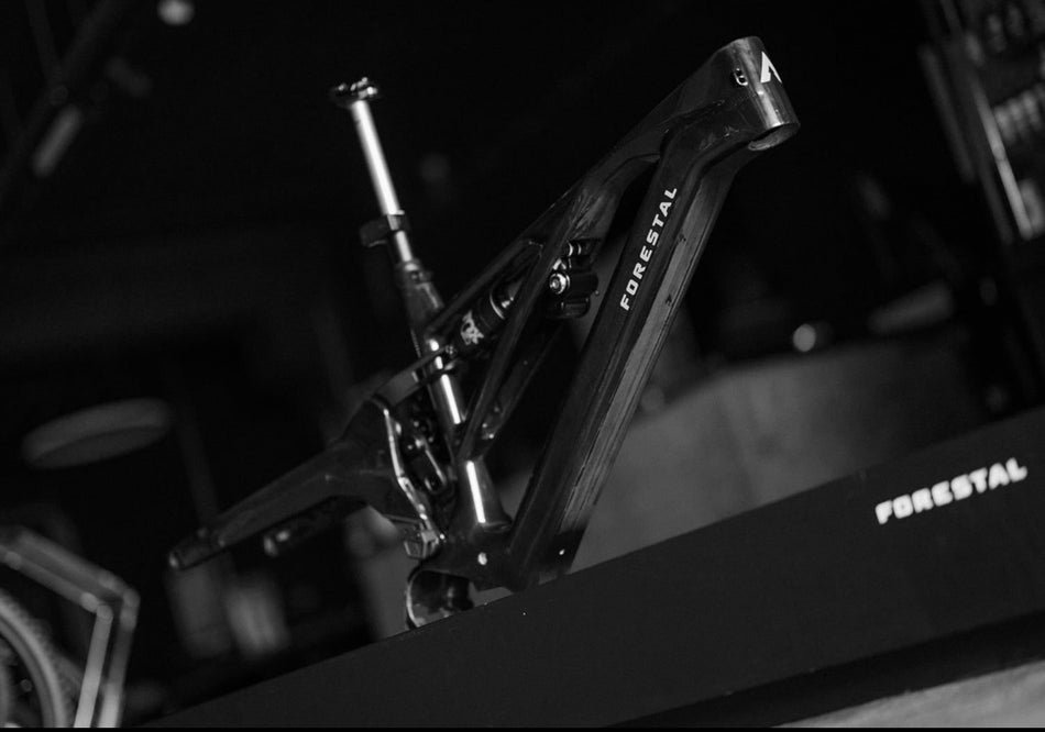 Forestal e-Siryon v2 Avinox M Halō boutique-mtb