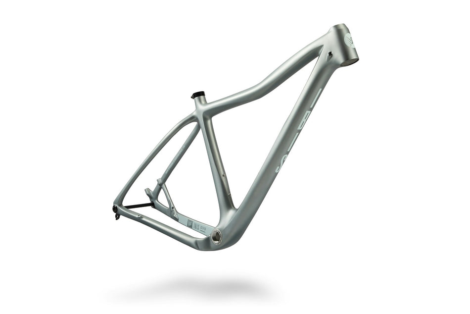 Silver Lining — Ibis DV9 V2 Frameset 2027