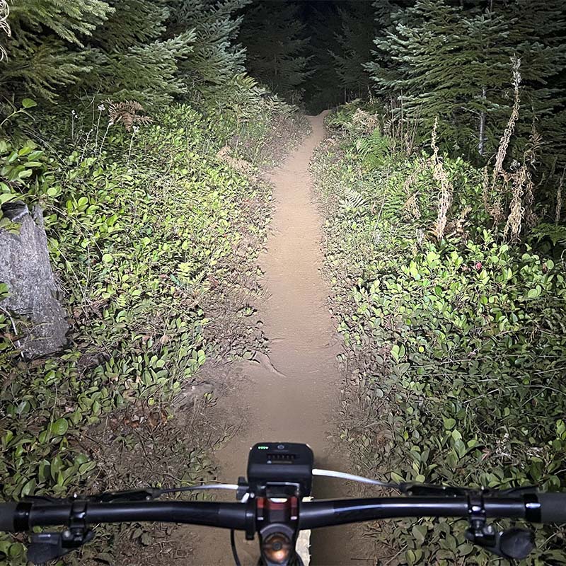 Beam of the Evo Downhill Package bike lights on a forest trail at night, rider's view over the handlebar