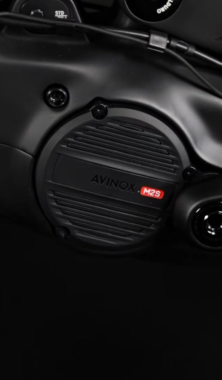 Velduro Rogue Frameset & Frameset + Fork boutique-mtb