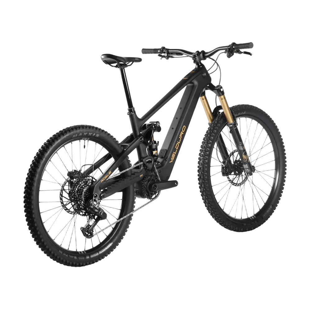 Velduro Rogue R M2S eMTB - full carbon enduro electric mountain bike