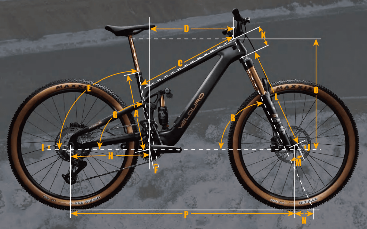 Velduro Rogue R boutique-mtb