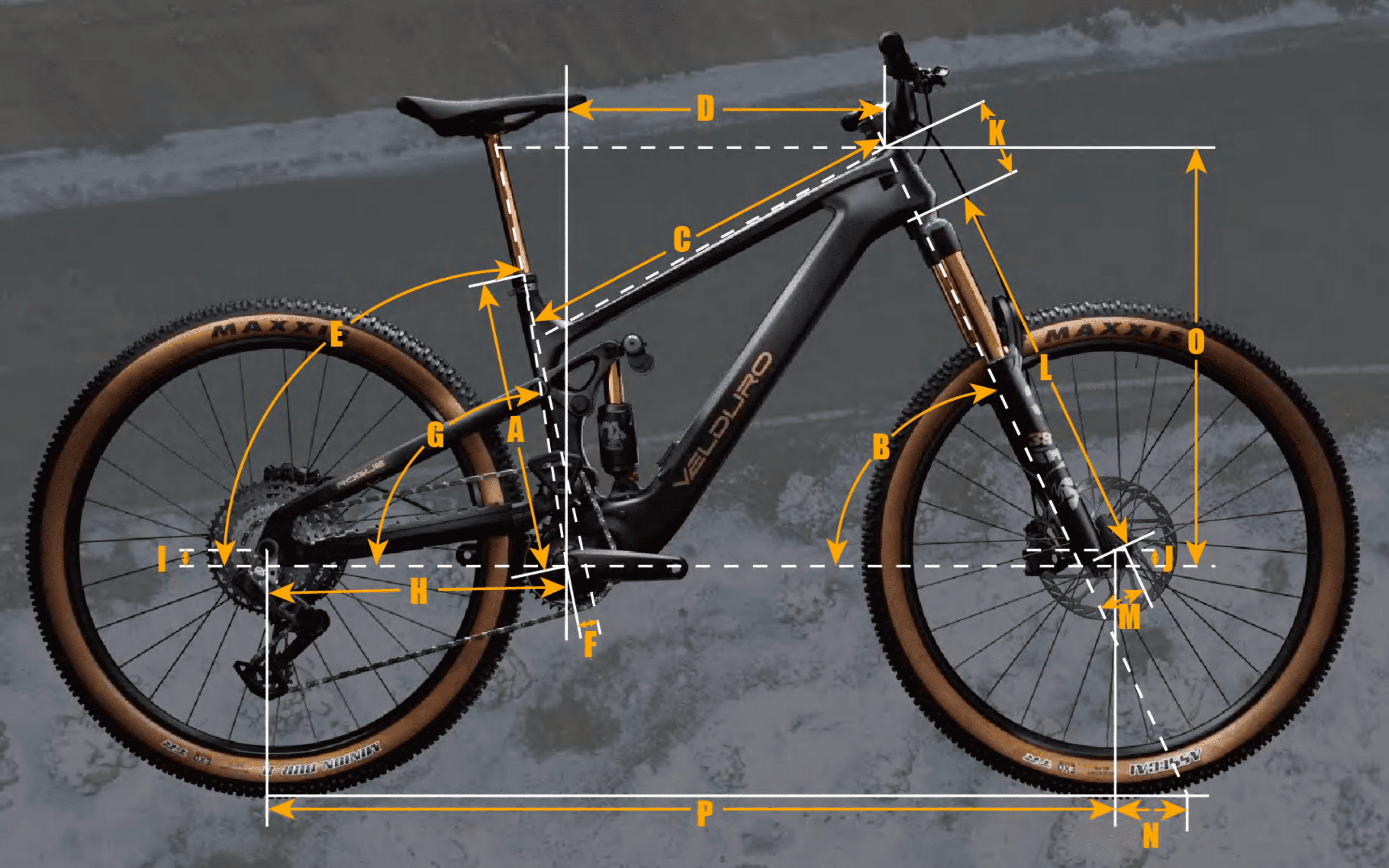 Velduro Rogue R boutique-mtb