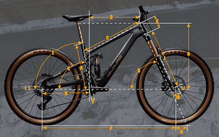 Velduro Rogue R boutique-mtb