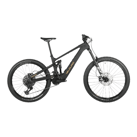 Velduro Rogue X M2S electric mountain bike