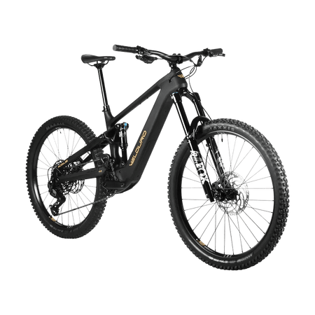 Velduro Rogue X M2S eMTB - Avinox M2S drive system