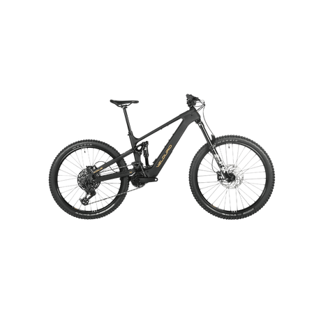 Velduro Rogue X boutique-mtb