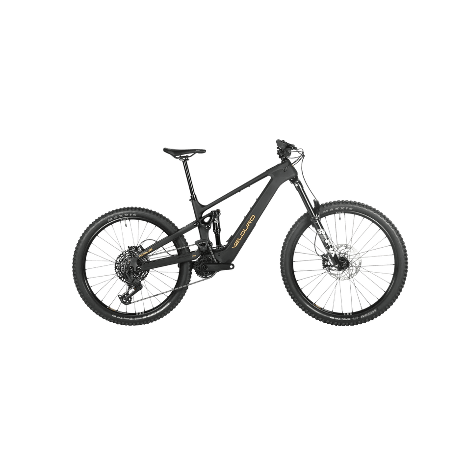 Velduro Rogue X boutique-mtb