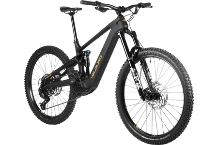 Velduro Rogue X boutique-mtb