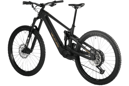 Velduro Rogue X boutique-mtb