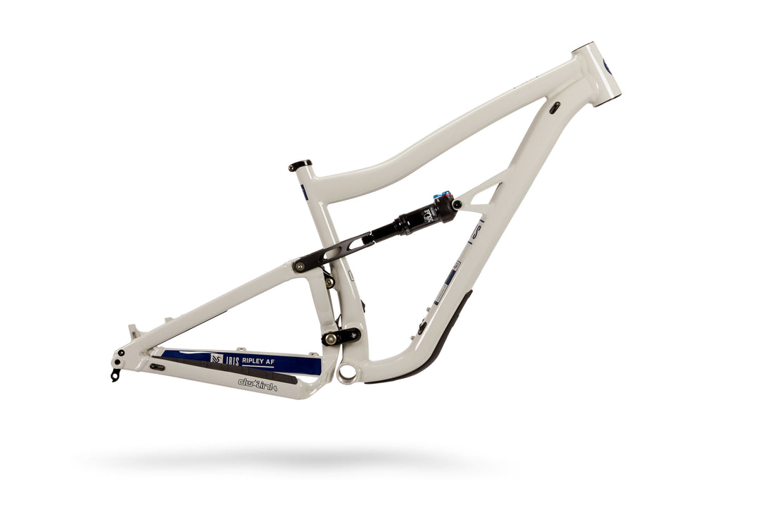 Ibis Ripley AF Frame boutique-mtb