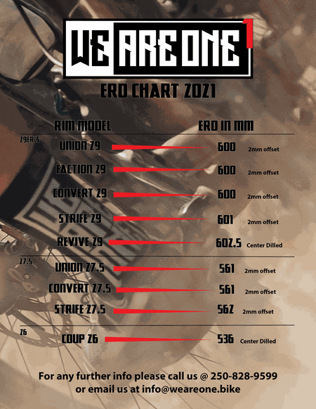 Strife One Fälg boutique-mtb